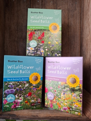 Seed box
