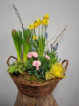 Spring basket